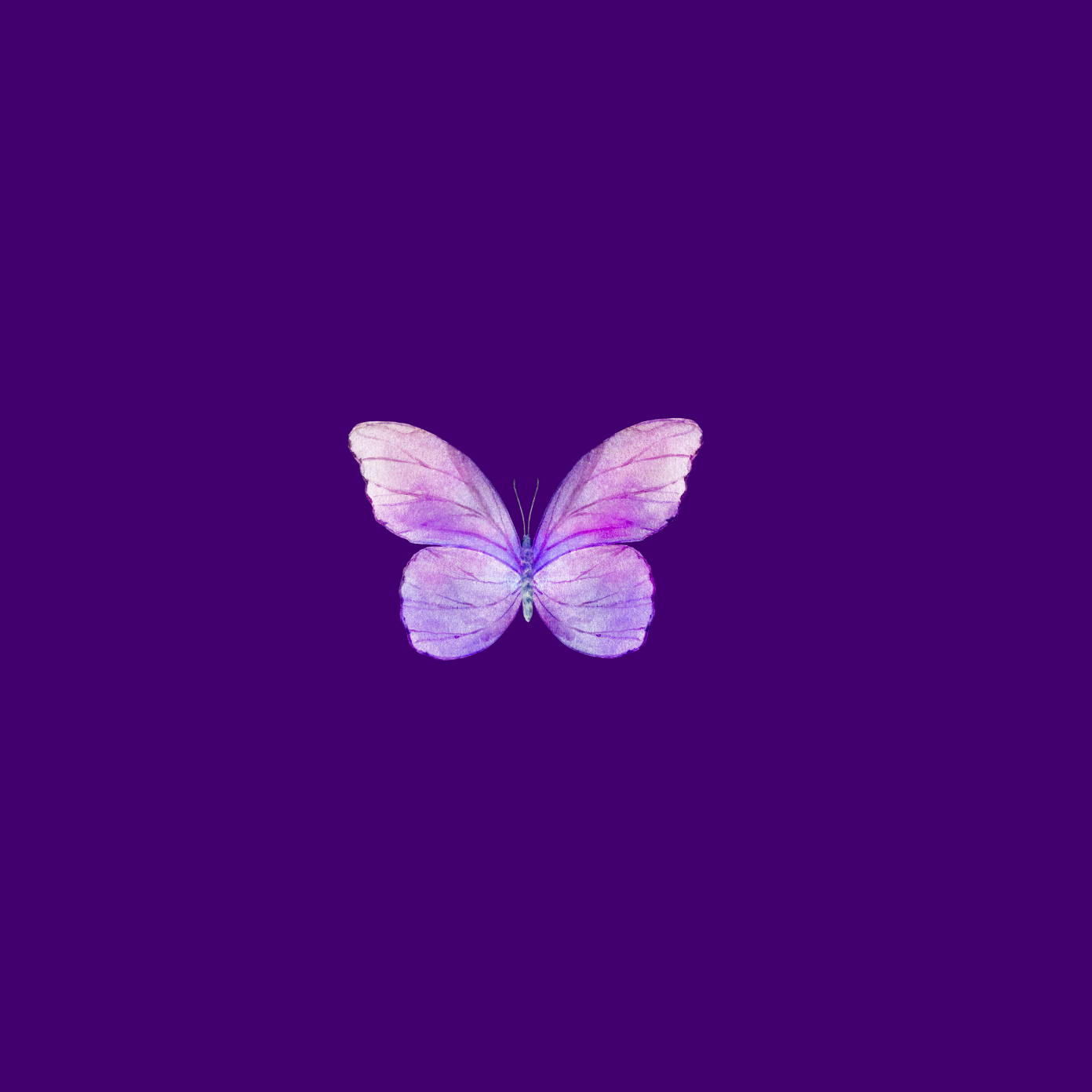DVPN Commemoration 2026: Hope & Healing - logo